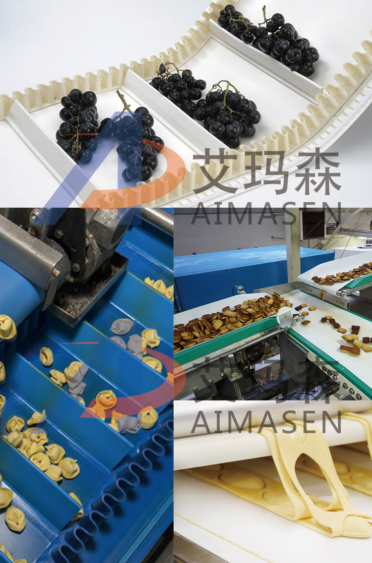 艾瑪森食品輸送帶